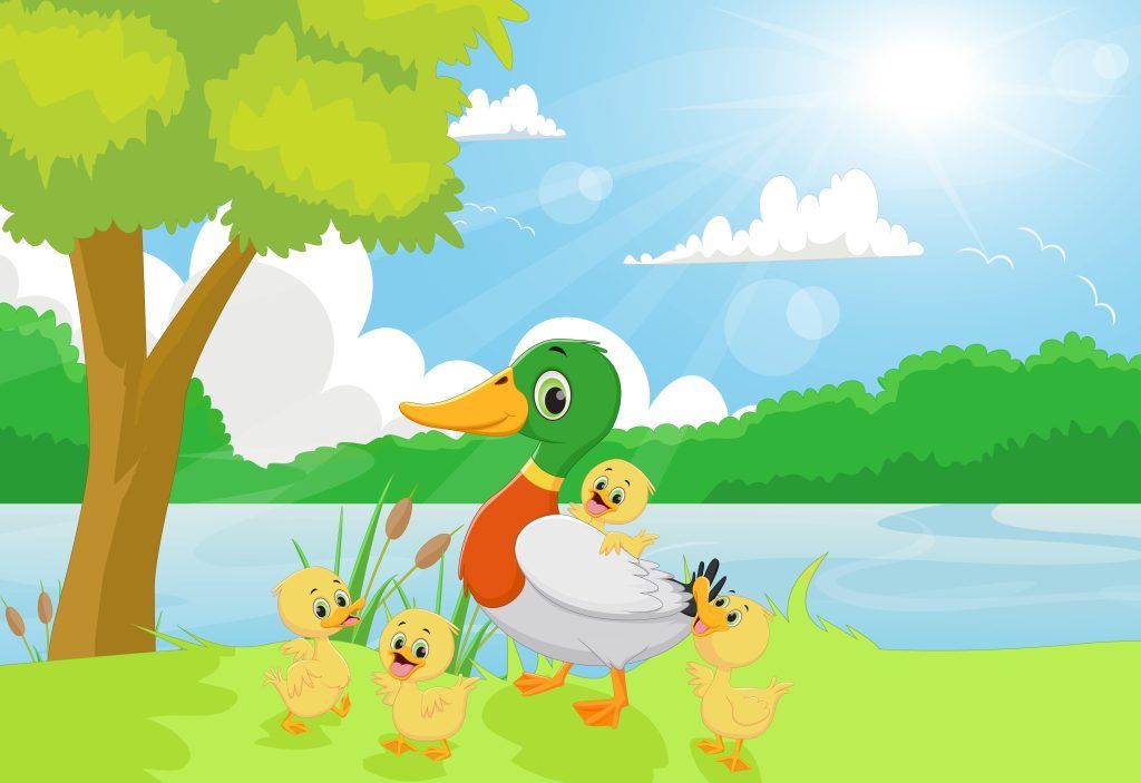 Math song #2: Five Little Ducks