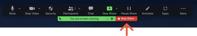 How to share video with Zoom on Mac/Windows 8