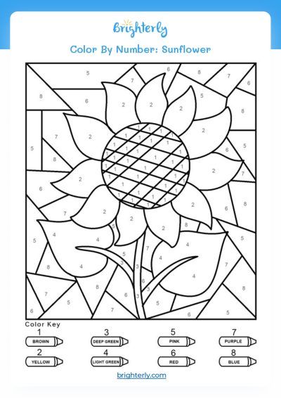 Color By Number Free Worksheets