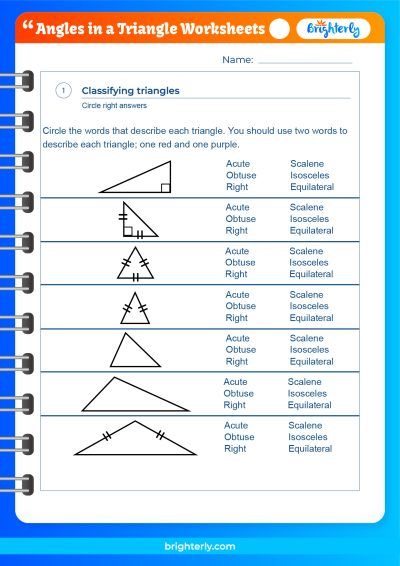 Angles And Triangles Worksheets