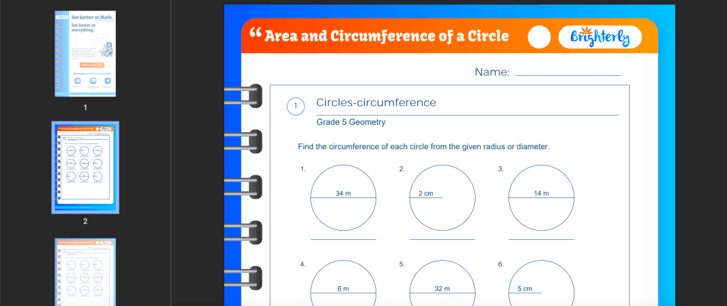Area and circumference of a circle worksheet: Examples