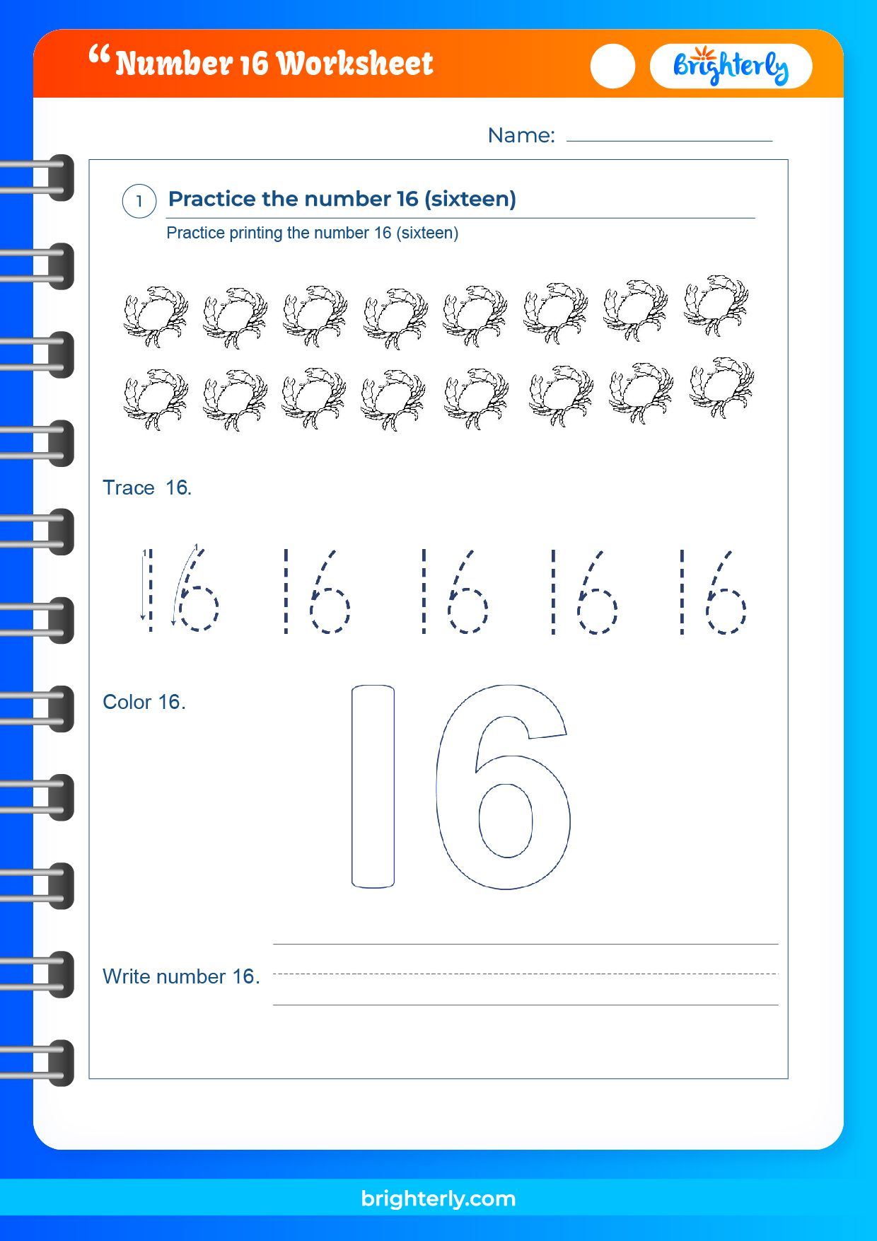 Printable Number 16 Worksheets