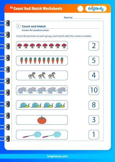 Match and Count Worksheet