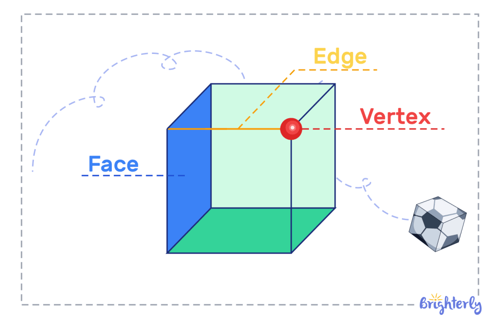 Faces, edges, and vertices of three dimensional shapes
