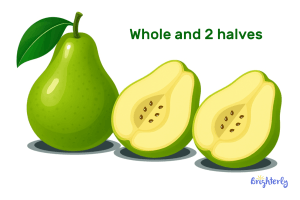 What is Halves ⭐ Definition Facts & Example