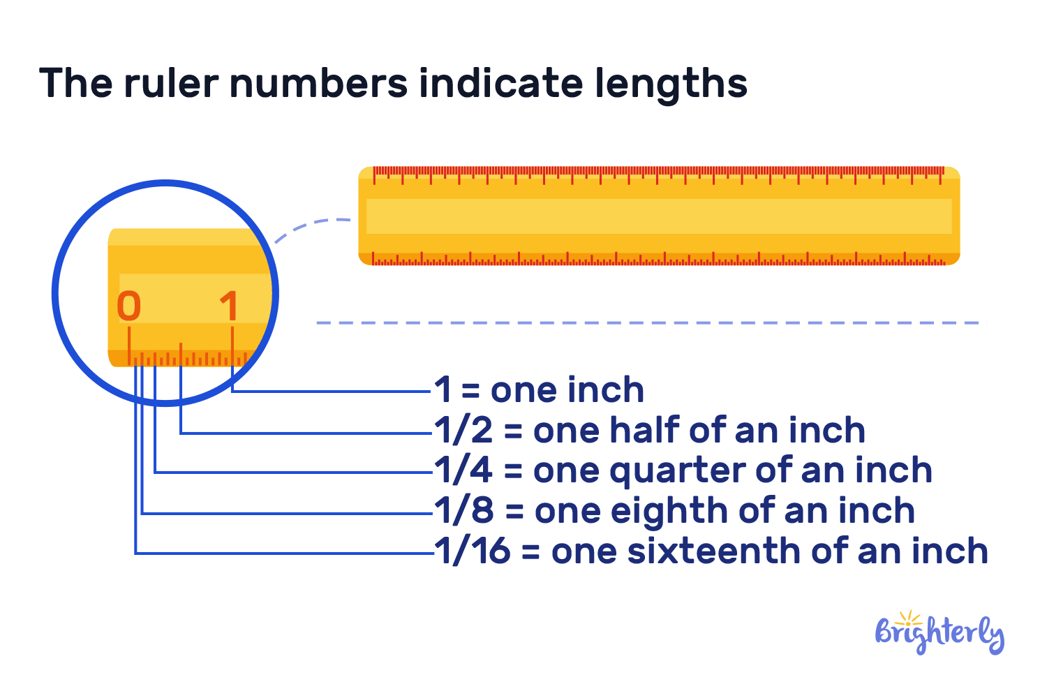 Ruler Definition with Examples