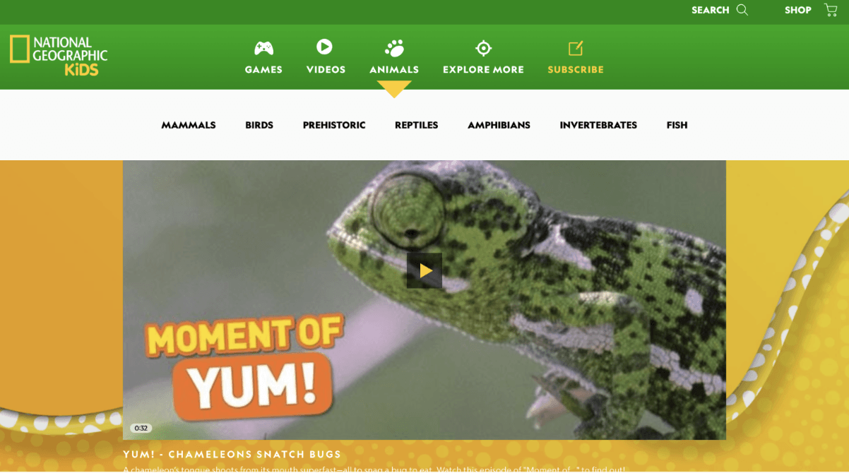 20+ Best Educational Websites for Kids