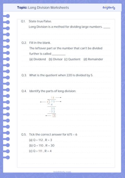 Long Division Worksheets Grade 3 PDF