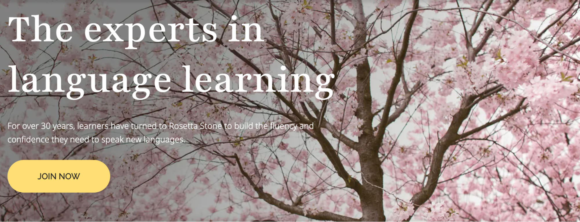Rosetta Stone – Best for Immersive Language Learning