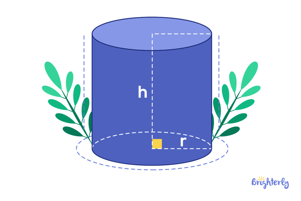 Cylinder in Math: Definition and Examples