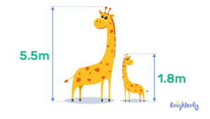 Difference in Math – Definition With Examples