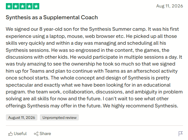 Synthesis Tutor Review on User Interface and Experience