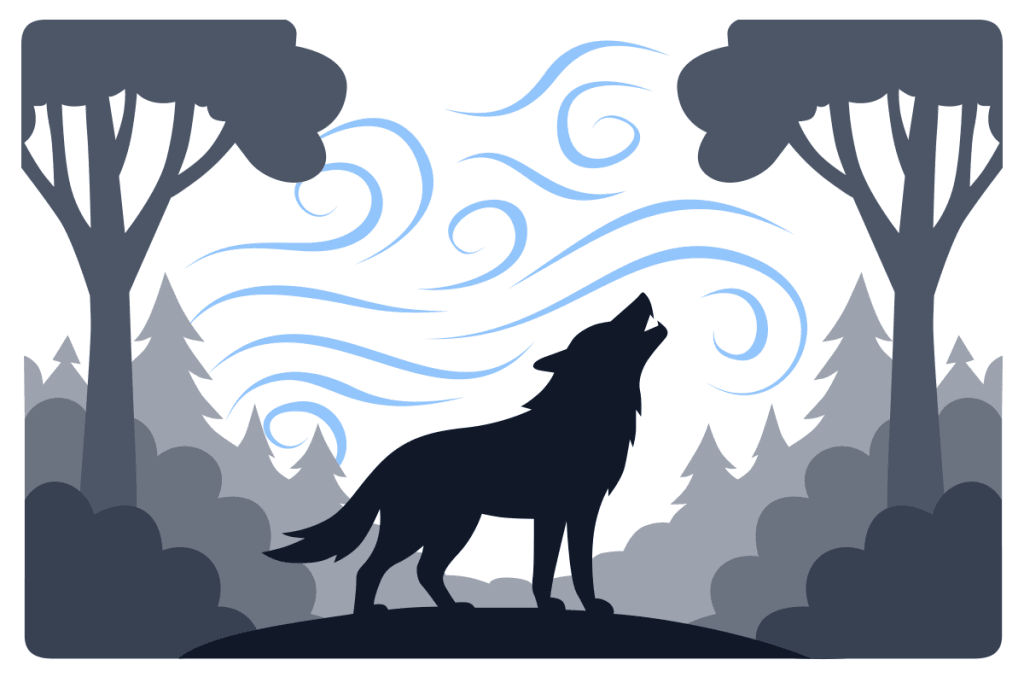 9th grade reading test