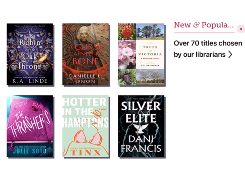 How Does Libby Work?