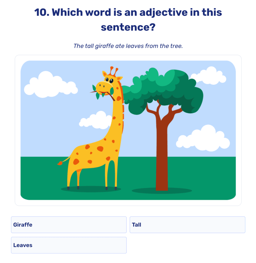 Paragraphs to read worksheets: Practice