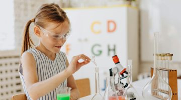 Previous Article Image