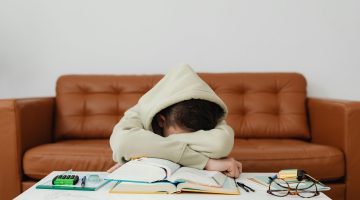 Previous Article Image