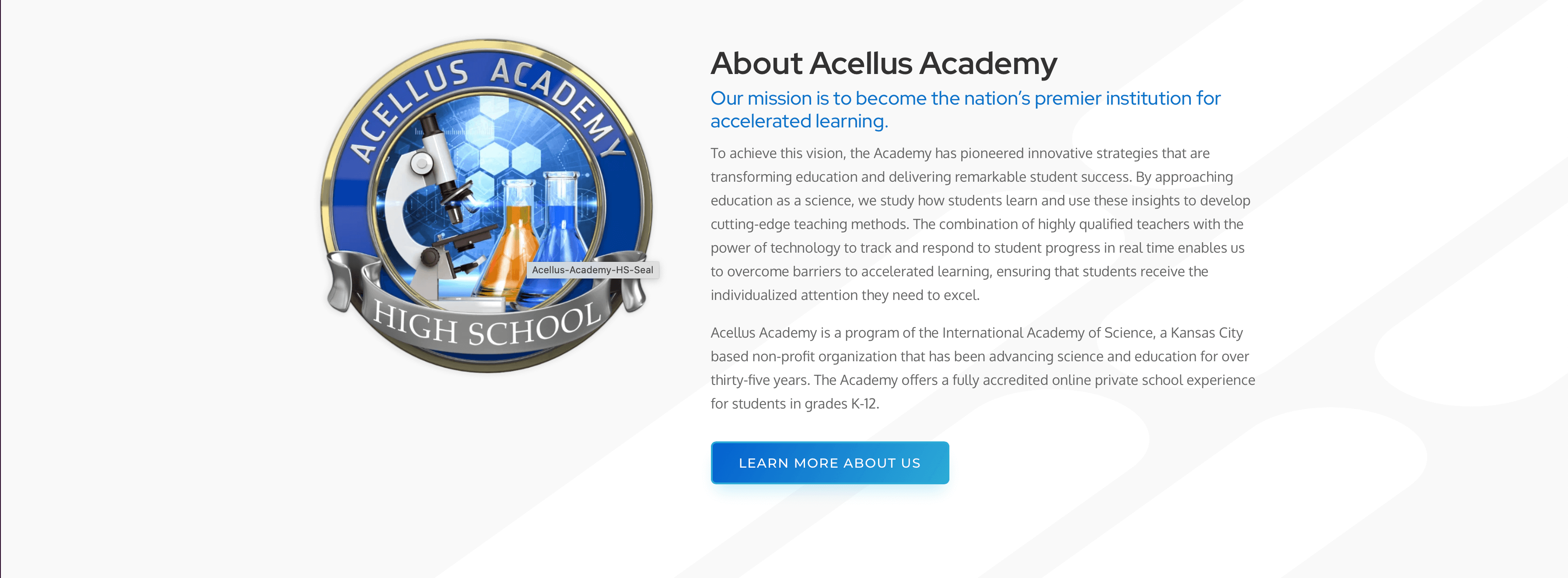 How does Acellus Academy work?
