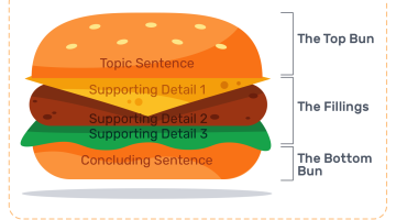 Hamburger Paragraph: Definition & Rules for Writing