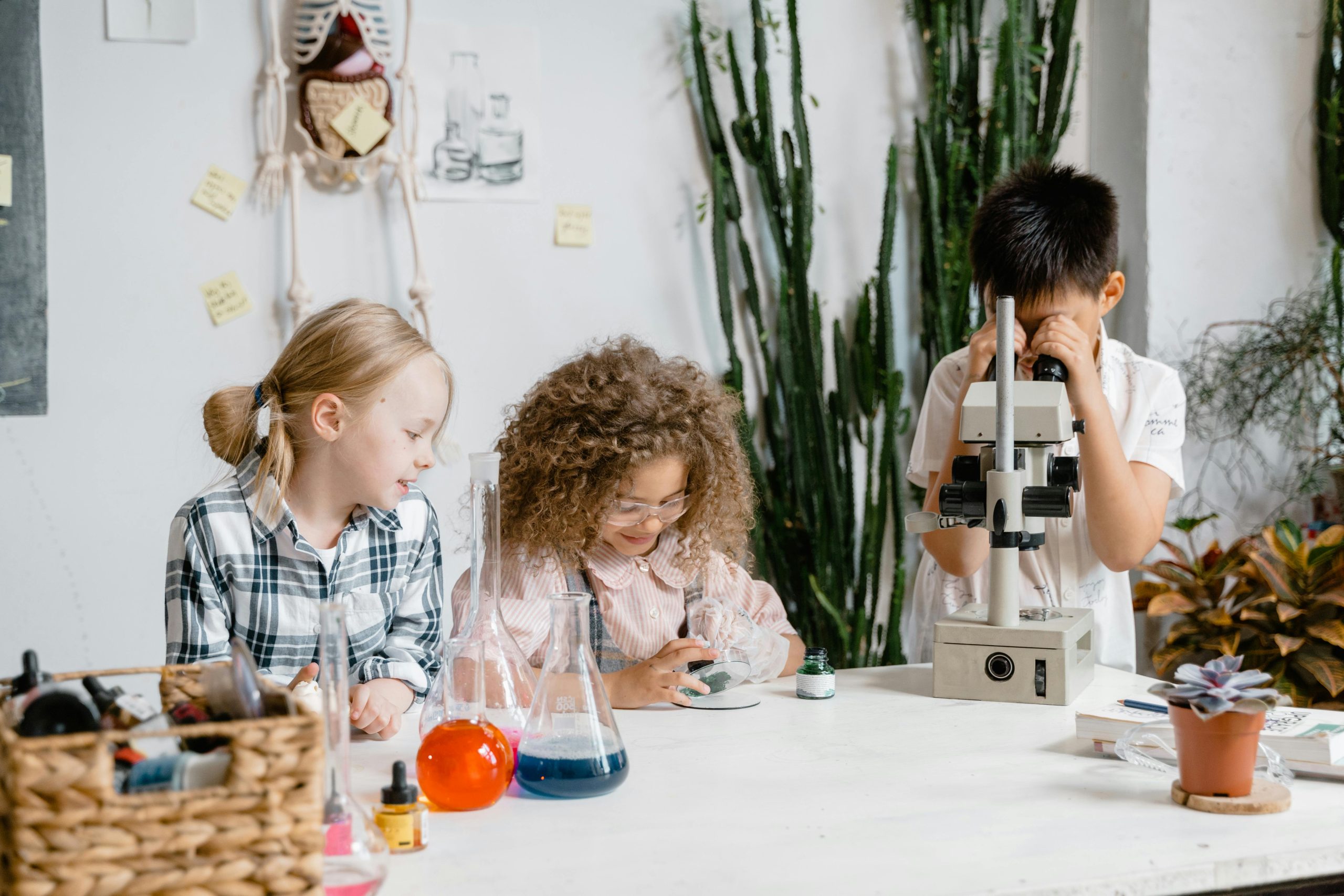 What Do 3rd Graders Learn? Key Concepts