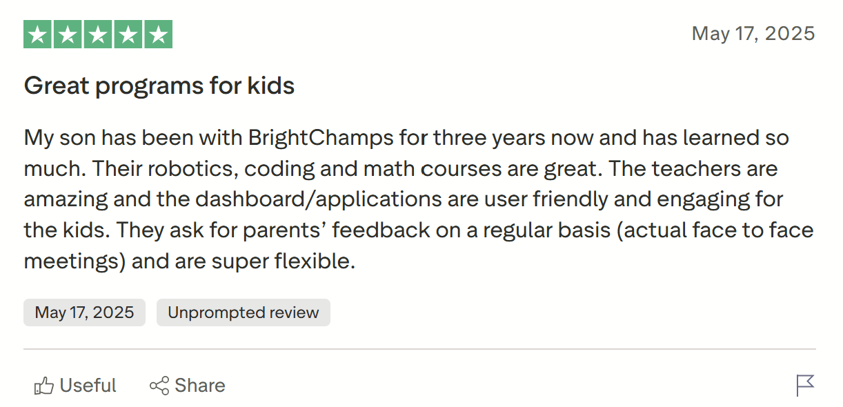 How Does BrightCHAMPS Work? User Experience