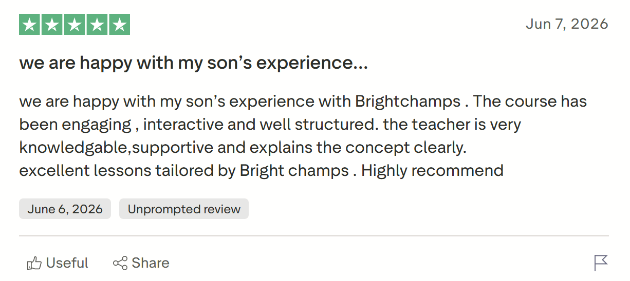 What Are the Pros and Cons of BrightCHAMPS?