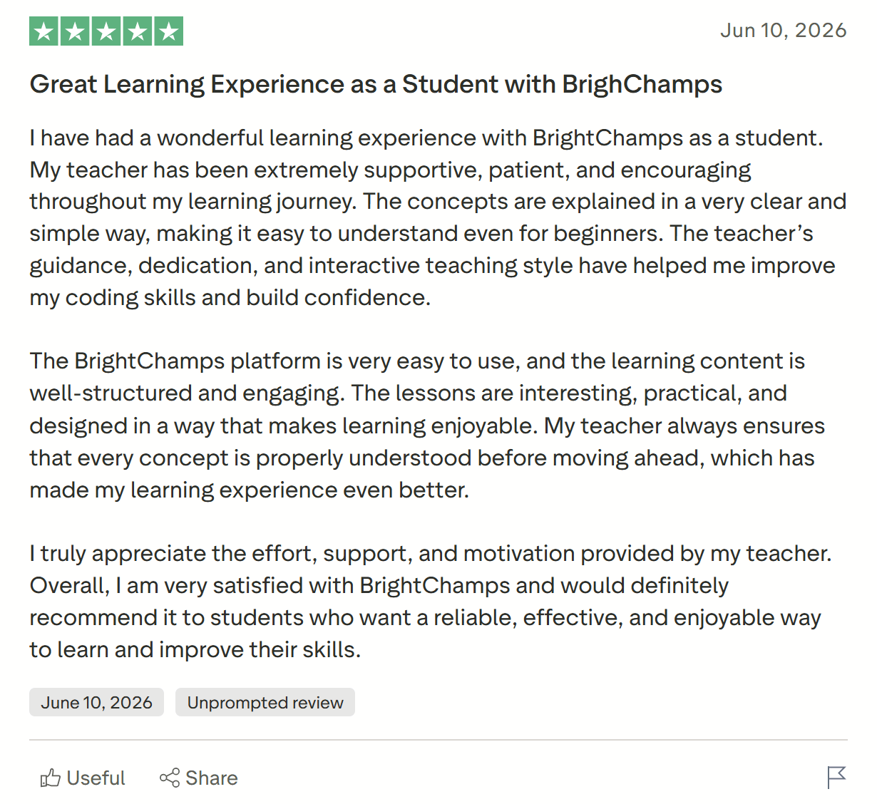 What Are the Pros and Cons of BrightCHAMPS?