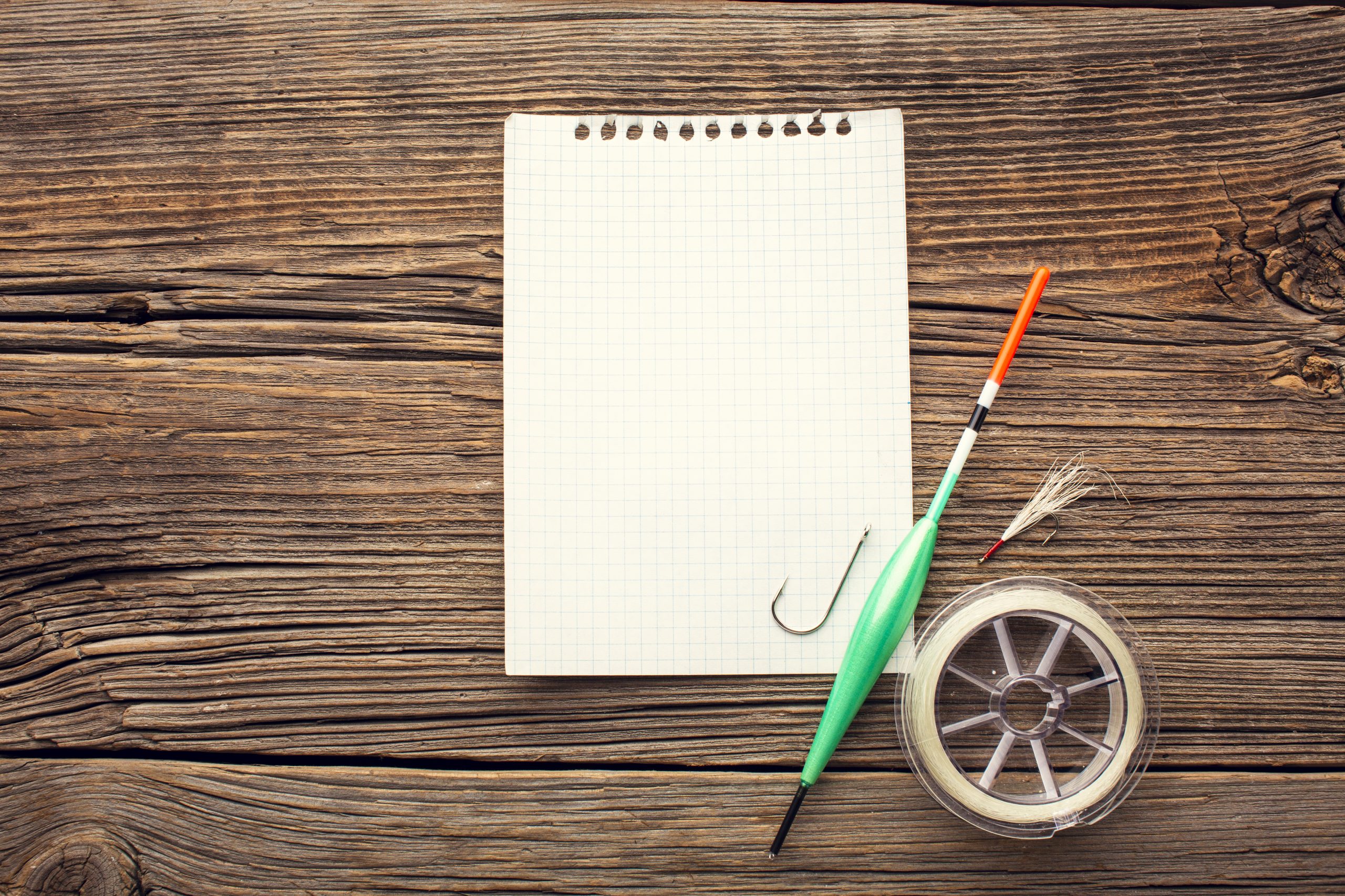 Top Hook Ideas For Different Essays