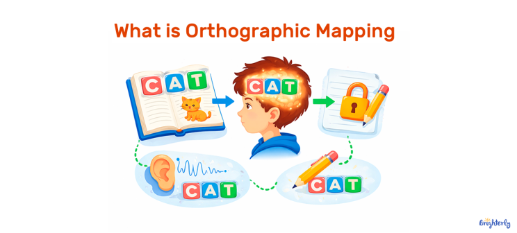 What Is Orthographic Mapping? A Parent's Guide to How Kids Learn to Read