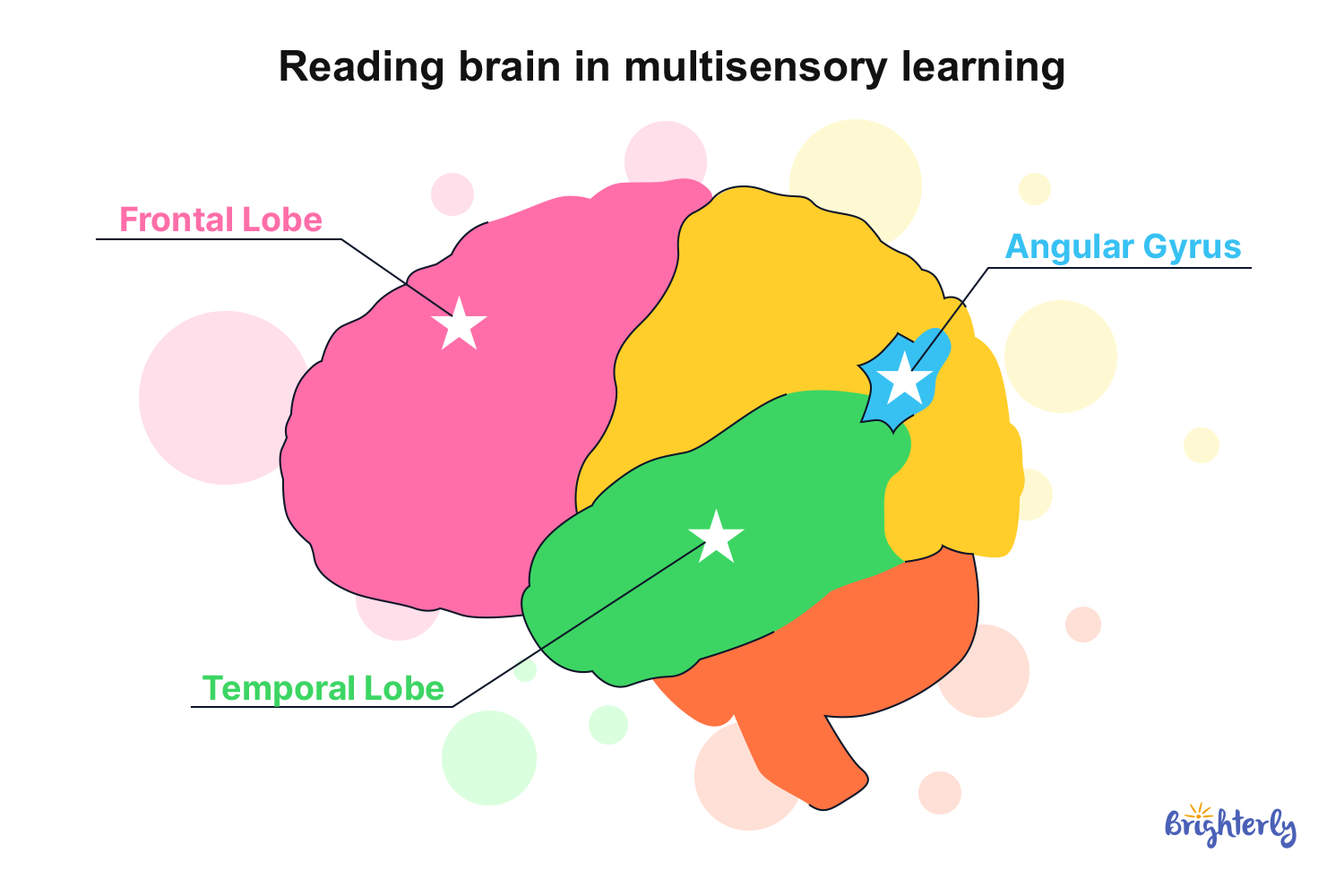 Why It Works: Research on Multisensory Methods