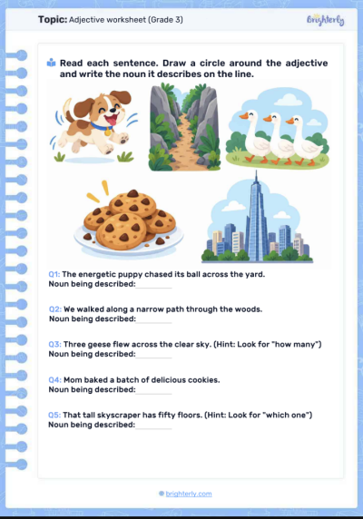 Adjective worksheets (Grade 3)