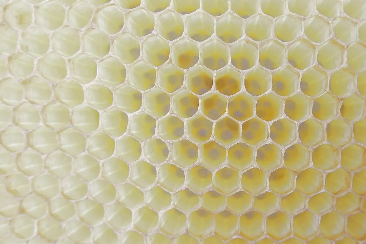 Hexagons in nature