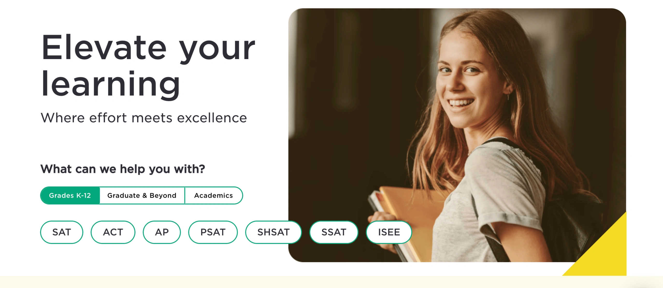 The Princeton Review Academic Tutoring
