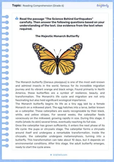 Image -6th Grade Reading Comprehension PDF