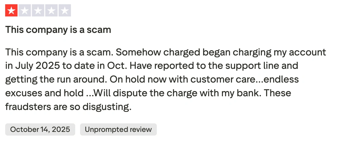 ABCmouse Reviews: What Parents Say