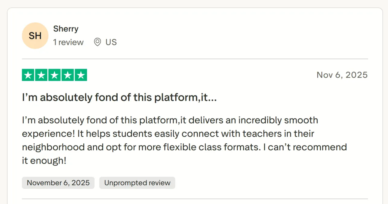 Superprof online teaching pros and cons