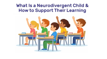 Previous Article Image