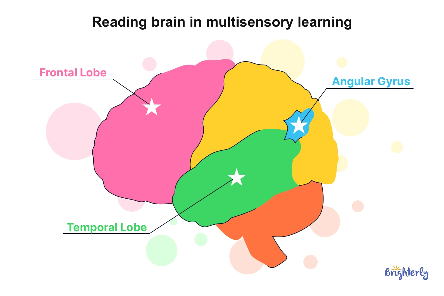 Why It Works: Research on Multisensory Methods