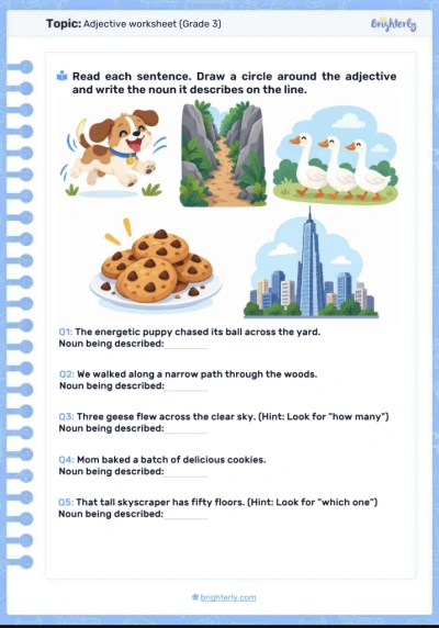 Adjective worksheets (Grade 3)